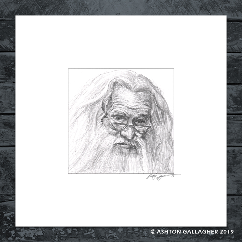 Professor Dumbledore from Harry Potter and the Sorcerer’s Stone study drawing